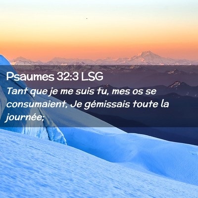 Picture 02 - Psaumes 32:3 LSG - Tant que je me suis tu, mes os se consumaient, Je - Bible Verse Picture