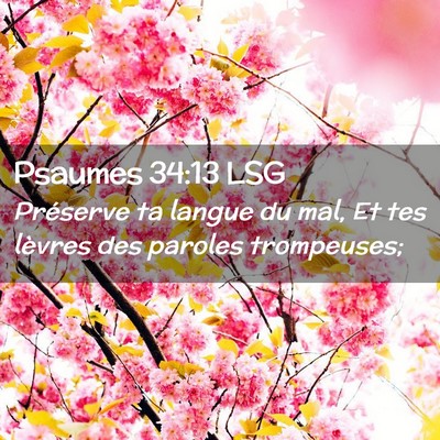 Picture 02 - Psaumes 34:13 LSG - Préserve ta langue du mal, Et tes lèvres des - Bible Verse Picture