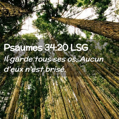 Picture 02 - Psaumes 34:20 LSG - Il garde tous ses os, Aucun d'eux n'est - Bible Verse Picture