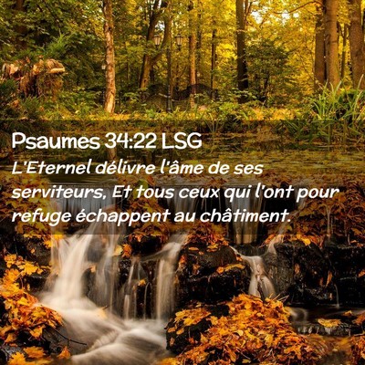 Picture 02 - Psaumes 34:22 LSG - L'Eternel délivre l'âme de ses serviteurs, Et - Bible Verse Picture