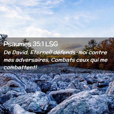 Picture 02 - Psaumes 35:1 LSG - De David. Eternel! défends-moi contre mes - Bible Verse Picture