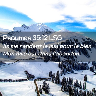 Picture 02 - Psaumes 35:12 LSG - Ils me rendent le mal pour le bien: Mon âme est - Bible Verse Picture