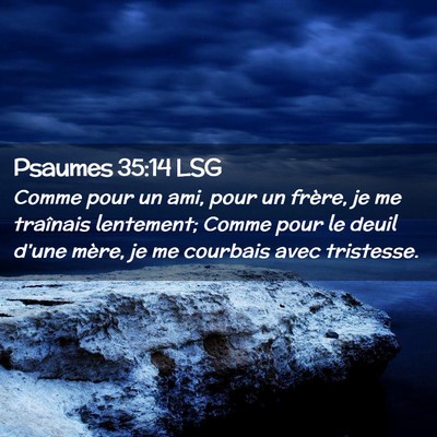 Picture 02 - Psaumes 35:14 LSG - Comme pour un ami, pour un frère, je me - Bible Verse Picture