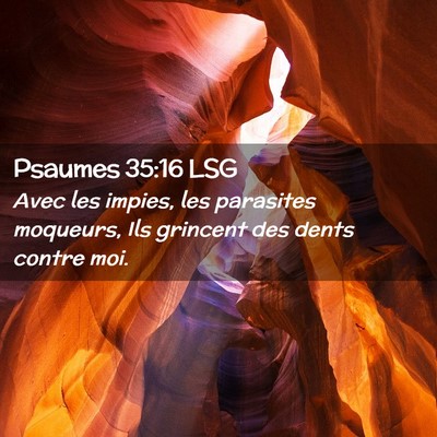 Picture 02 - Psaumes 35:16 LSG - Avec les impies, les parasites moqueurs, Ils - Bible Verse Picture