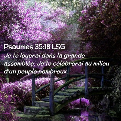 Picture 02 - Psaumes 35:18 LSG - Je te louerai dans la grande assemblée, Je te - Bible Verse Picture