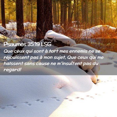 Picture 02 - Psaumes 35:19 LSG - Que ceux qui sont à tort mes ennemis ne se - Bible Verse Picture