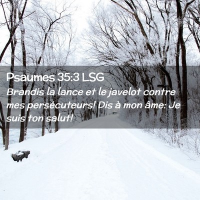 Picture 02 - Psaumes 35:3 LSG - Brandis la lance et le javelot contre mes - Bible Verse Picture