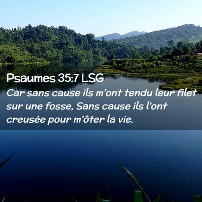 Picture 02 - Psaumes 35:7 LSG - Car sans cause ils m'ont tendu leur filet sur une - Bible Verse Picture