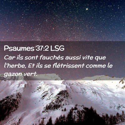 Picture 02 - Psaumes 37:2 LSG - Car ils sont fauchés aussi vite que l'herbe, Et - Bible Verse Picture