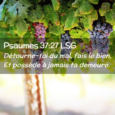 Picture 02 - Psaumes 37:27 LSG - Détourne-toi du mal, fais le bien, Et possède - Bible Verse Picture