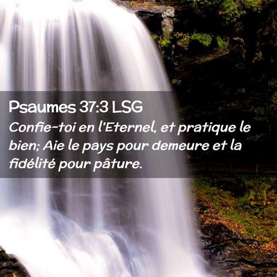 Picture 02 - Psaumes 37:3 LSG - Confie-toi en l'Eternel, et pratique le bien; Aie - Bible Verse Picture
