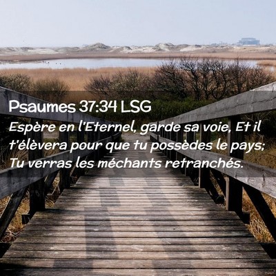 Picture 02 - Psaumes 37:34 LSG - Espère en l'Eternel, garde sa voie, Et il - Bible Verse Picture