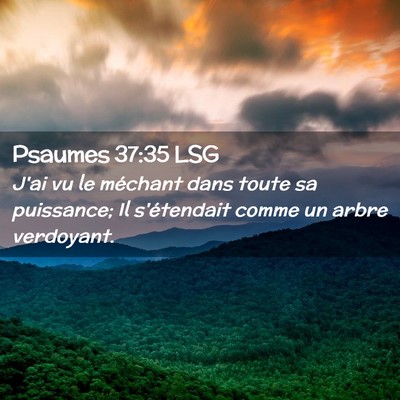 Picture 02 - Psaumes 37:35 LSG - J'ai vu le méchant dans toute sa puissance; Il - Bible Verse Picture