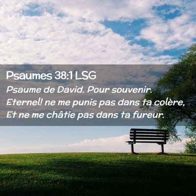Picture 02 - Psaumes 38:1 LSG - Psaume de David. Pour souvenir. Eternel! ne me - Bible Verse Picture