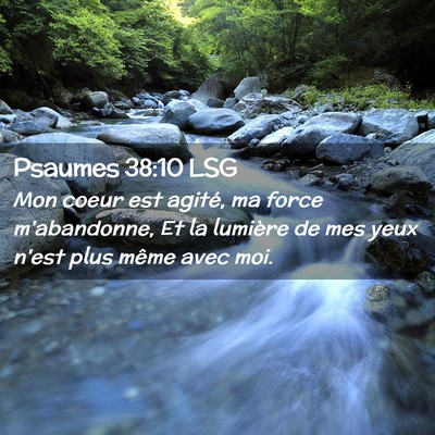 Picture 02 - Psaumes 38:10 LSG - Mon coeur est agité, ma force m'abandonne, Et la - Bible Verse Picture