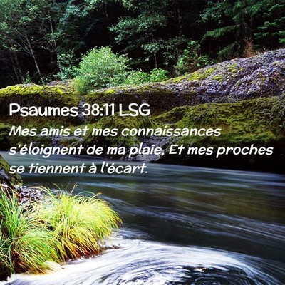Picture 02 - Psaumes 38:11 LSG - Mes amis et mes connaissances s'éloignent de ma - Bible Verse Picture