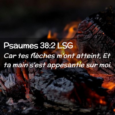 Picture 02 - Psaumes 38:2 LSG - Car tes flèches m'ont atteint, Et ta main s'est - Bible Verse Picture