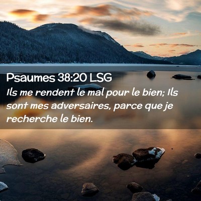 Picture 02 - Psaumes 38:20 LSG - Ils me rendent le mal pour le bien; Ils sont mes - Bible Verse Picture
