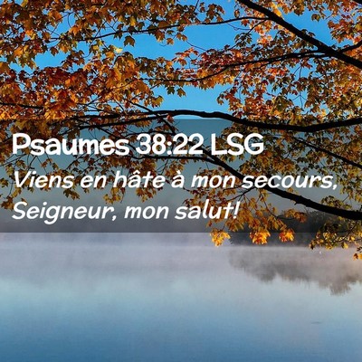 Picture 02 - Psaumes 38:22 LSG - Viens en hâte à mon secours, Seigneur, mon - Bible Verse Picture