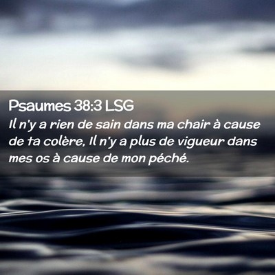 Picture 02 - Psaumes 38:3 LSG - Il n'y a rien de sain dans ma chair à cause de - Bible Verse Picture