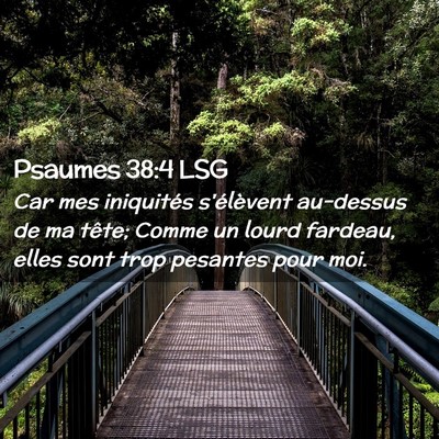Picture 02 - Psaumes 38:4 LSG - Car mes iniquités s'élèvent au-dessus de ma - Bible Verse Picture