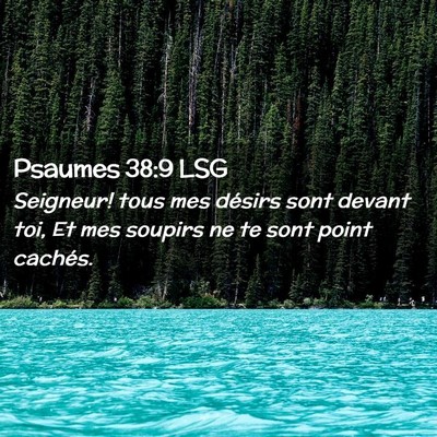 Picture 02 - Psaumes 38:9 LSG - Seigneur! tous mes désirs sont devant toi, Et - Bible Verse Picture