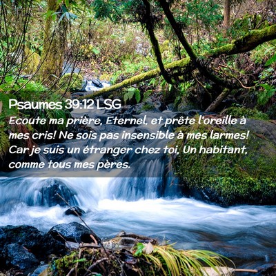 Picture 02 - Psaumes 39:12 LSG - Ecoute ma prière, Eternel, et prête l'oreille - Bible Verse Picture