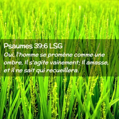 Picture 02 - Psaumes 39:6 LSG - Oui, l'homme se promène comme une ombre, Il - Bible Verse Picture