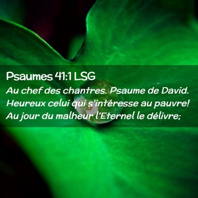 Picture 02 - Psaumes 41:1 LSG - Au chef des chantres. Psaume de David. Heureux - Bible Verse Picture