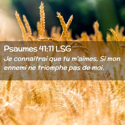 Picture 02 - Psaumes 41:11 LSG - Je connaîtrai que tu m'aimes, Si mon ennemi ne - Bible Verse Picture