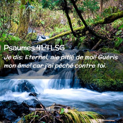 Picture 02 - Psaumes 41:4 LSG - Je dis: Eternel, aie pitié de moi! Guéris mon - Bible Verse Picture