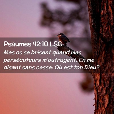 Picture 02 - Psaumes 42:10 LSG - Mes os se brisent quand mes persécuteurs - Bible Verse Picture