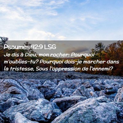 Picture 02 - Psaumes 42:9 LSG - Je dis à Dieu, mon rocher: Pourquoi - Bible Verse Picture