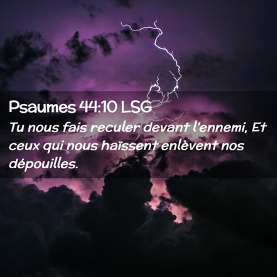 Picture 02 - Psaumes 44:10 LSG - Tu nous fais reculer devant l'ennemi, Et ceux qui - Bible Verse Picture
