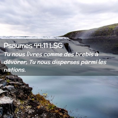 Picture 02 - Psaumes 44:11 LSG - Tu nous livres comme des brebis à dévorer, Tu - Bible Verse Picture