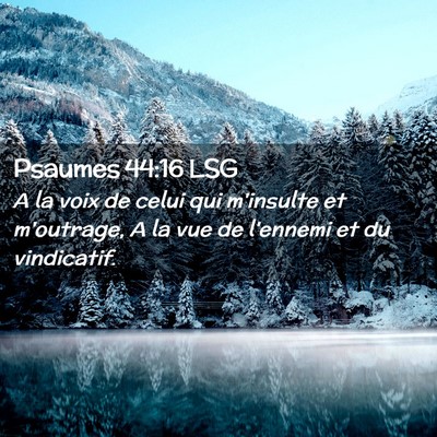 Picture 02 - Psaumes 44:16 LSG - A la voix de celui qui m'insulte et m'outrage, A - Bible Verse Picture