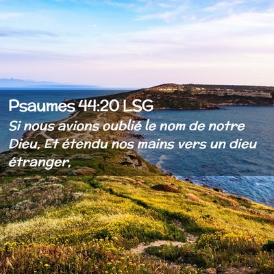 Picture 02 - Psaumes 44:20 LSG - Si nous avions oublié le nom de notre Dieu, Et - Bible Verse Picture