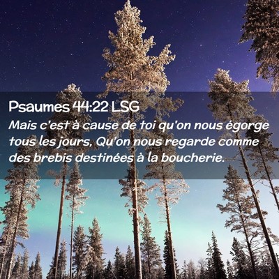 Picture 02 - Psaumes 44:22 LSG - Mais c'est à cause de toi qu'on nous égorge - Bible Verse Picture