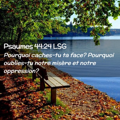 Picture 02 - Psaumes 44:24 LSG - Pourquoi caches-tu ta face? Pourquoi oublies-tu - Bible Verse Picture