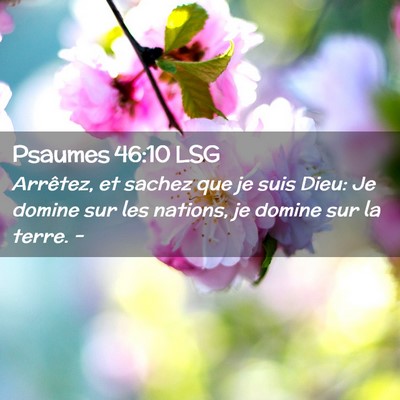 Picture 02 - Psaumes 46:10 LSG - Arrêtez, et sachez que je suis Dieu: Je domine - Bible Verse Picture