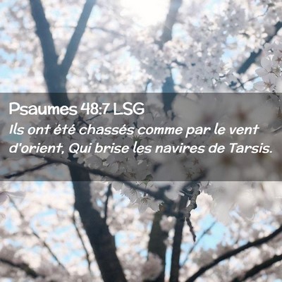 Picture 02 - Psaumes 48:7 LSG - Ils ont été chassés comme par le vent - Bible Verse Picture