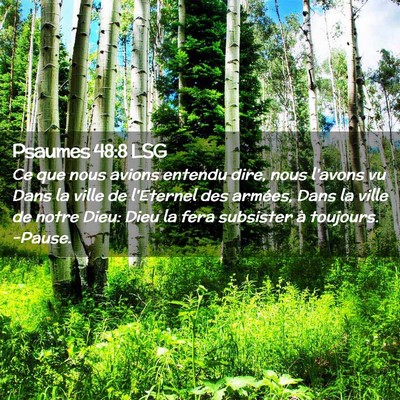 Picture 02 - Psaumes 48:8 LSG - Ce que nous avions entendu dire, nous l'avons vu - Bible Verse Picture
