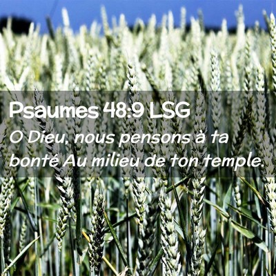 Picture 02 - Psaumes 48:9 LSG - O Dieu, nous pensons à ta bonté Au milieu de - Bible Verse Picture