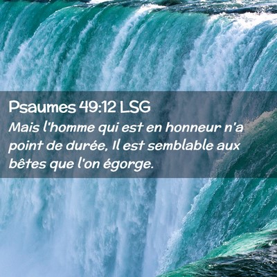 Picture 02 - Psaumes 49:12 LSG - Mais l'homme qui est en honneur n'a point de - Bible Verse Picture