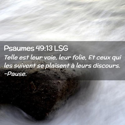 Picture 02 - Psaumes 49:13 LSG - Telle est leur voie, leur folie, Et ceux qui les - Bible Verse Picture