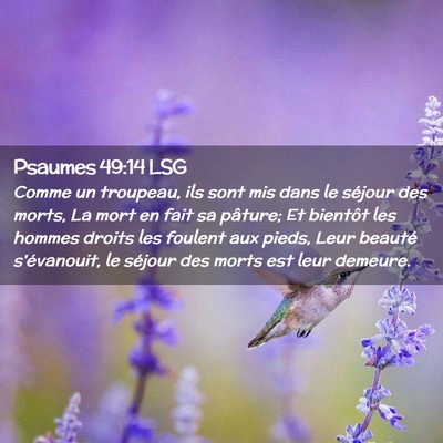 Picture 02 - Psaumes 49:14 LSG - Comme un troupeau, ils sont mis dans le séjour - Bible Verse Picture
