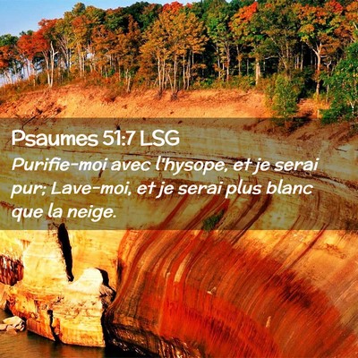 Picture 02 - Psaumes 51:7 LSG - Purifie-moi avec l'hysope, et je serai pur; - Bible Verse Picture