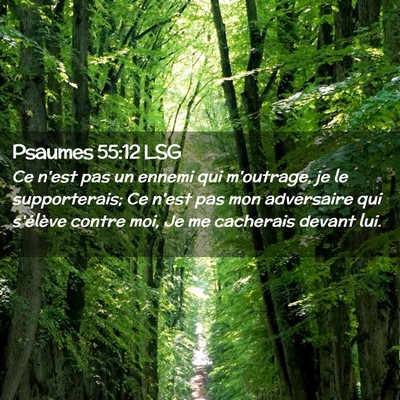 Picture 02 - Psaumes 55:12 LSG - Ce n'est pas un ennemi qui m'outrage, je le - Bible Verse Picture