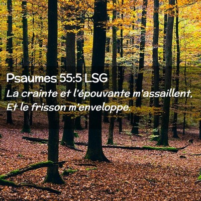 Picture 02 - Psaumes 55:5 LSG - La crainte et l'épouvante m'assaillent, Et le - Bible Verse Picture