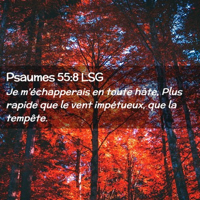 Picture 02 - Psaumes 55:8 LSG - Je m'échapperais en toute hâte, Plus rapide que - Bible Verse Picture